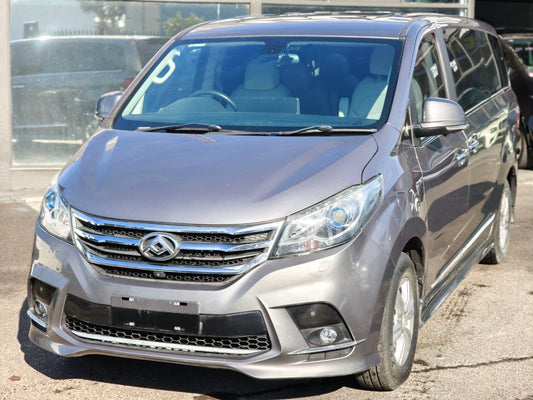 2021 LDV G10